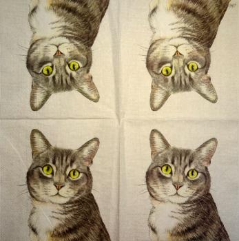 999.106 Katzen - 3-lagig